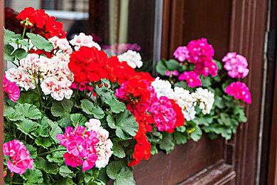 《赛博朋克2077》真实感Mod发布 各种细节还原人类反应